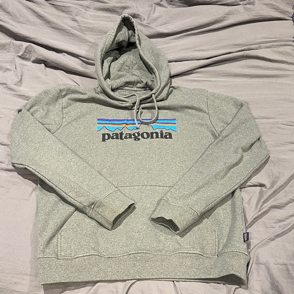 Patagonia Light Gray Hoodie with Logo